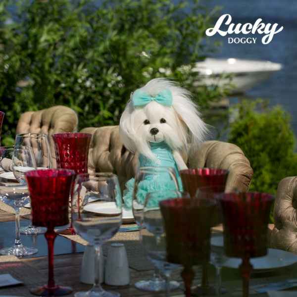 Plüsch und Stofftier "Lucky Doggy Yoyo Starlight" 32 cm - myshop-ffm