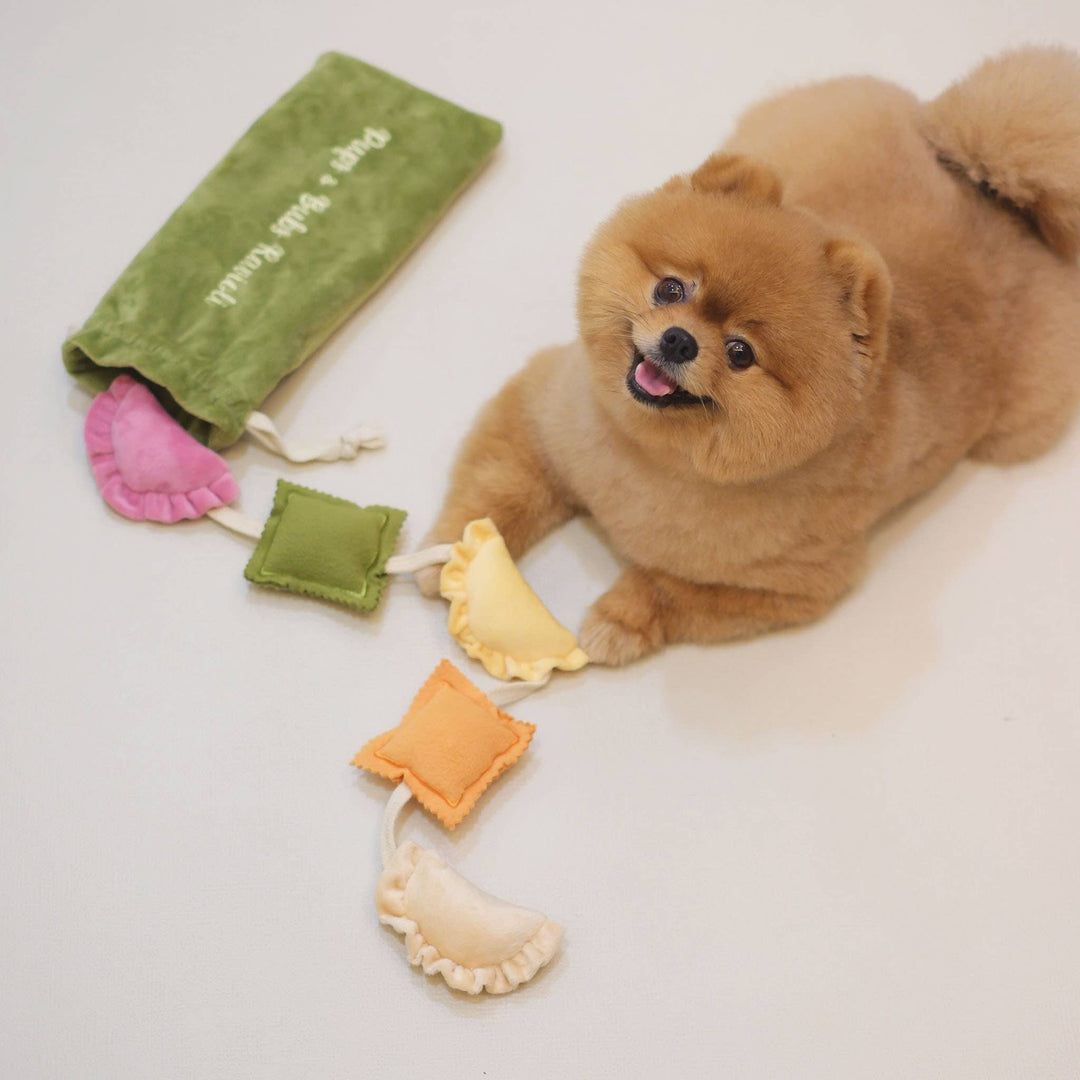 Pups & Bubs - Ravioli-Nasenarbeitsspielzeug mit Quietscher und Raschelgeräusch