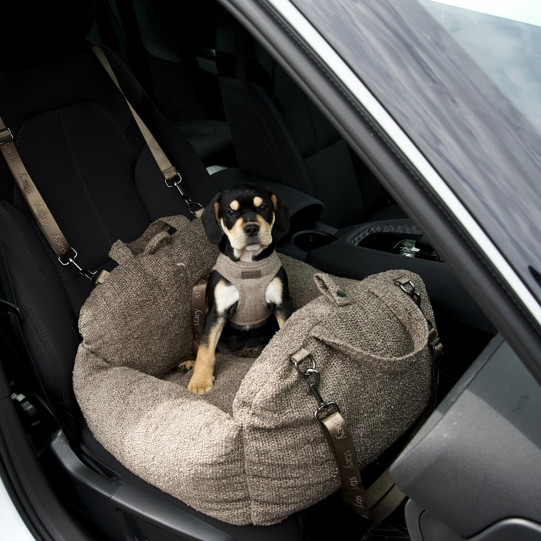 Staey - Tova 2-in-1-Autositz | Kastanien-Bouclé