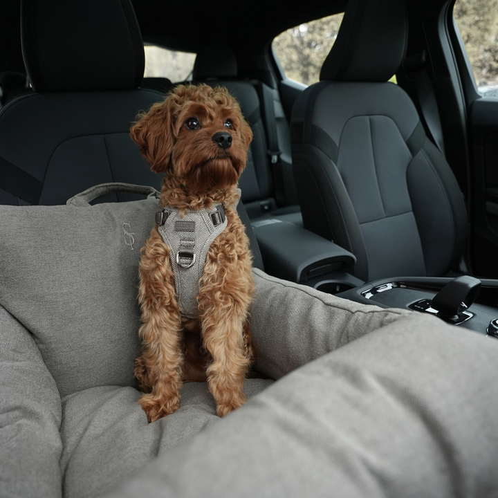 Staey „Lara“ Hund Autositz Taupe | 3-in-1 Hundebett