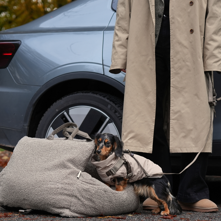 Staey „Lara“ Hund Autositz Teddy | 3-in-1 Hundebett