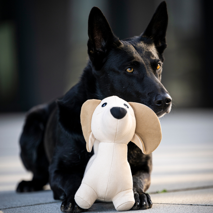 Hundespielzeug „Dackel Pepe“ | 2 Größen | Denim-Style