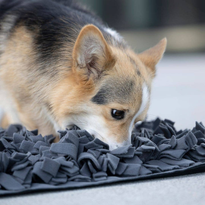 Schnüffelteppich Heaven | 60 × 60 cm