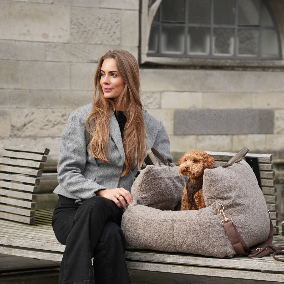 Staey „Lara“ Hund Autositz Teddy | 3-in-1 Hundebett