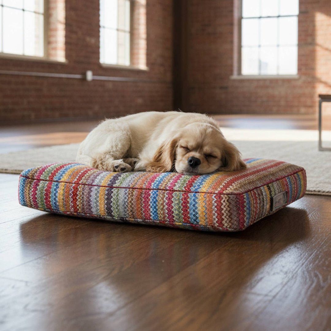 DOGS in the CITY® - Premium Hundekissen ZicZac | Drei Größen