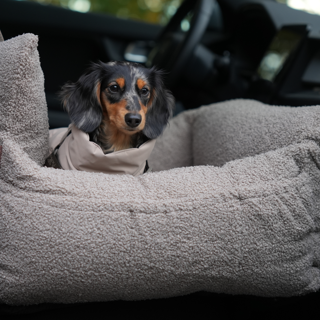 Staey „Lara“ Hund Autositz Teddy | 3-in-1 Hundebett