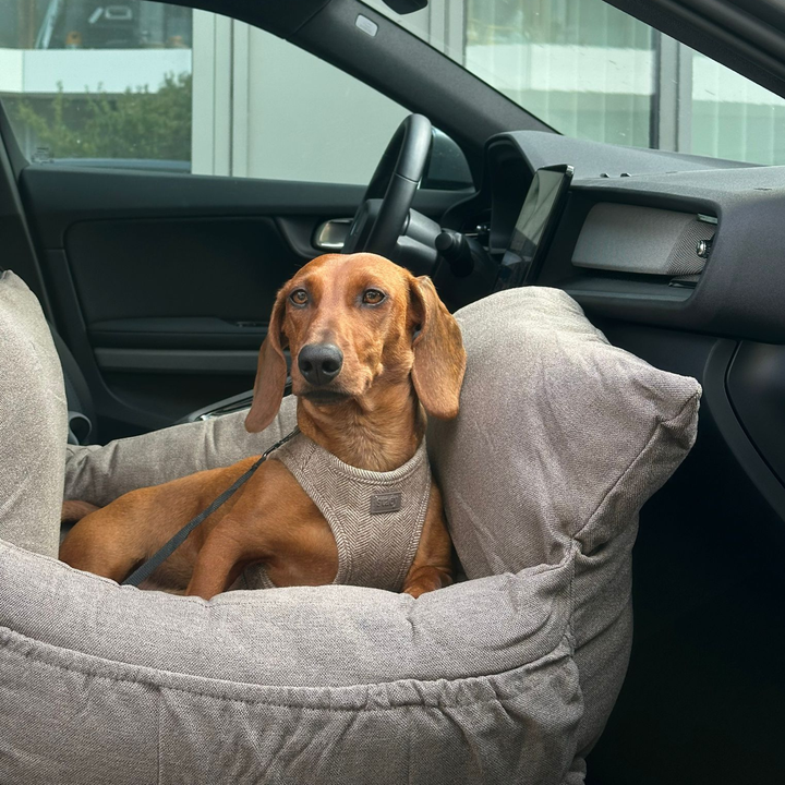 Staey „Lara“ Hund Autositz Taupe | 3-in-1 Hundebett