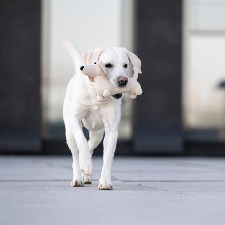 Hundespielzeug „Dackel Pepe“ | 2 Größen | Denim-Style