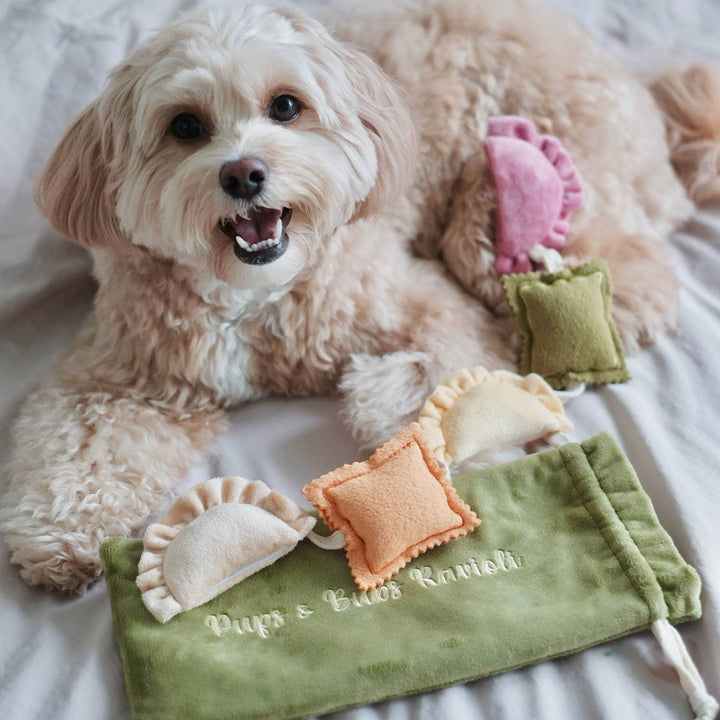 Pups & Bubs - Ravioli-Nasenarbeitsspielzeug mit Quietscher und Raschelgeräusch