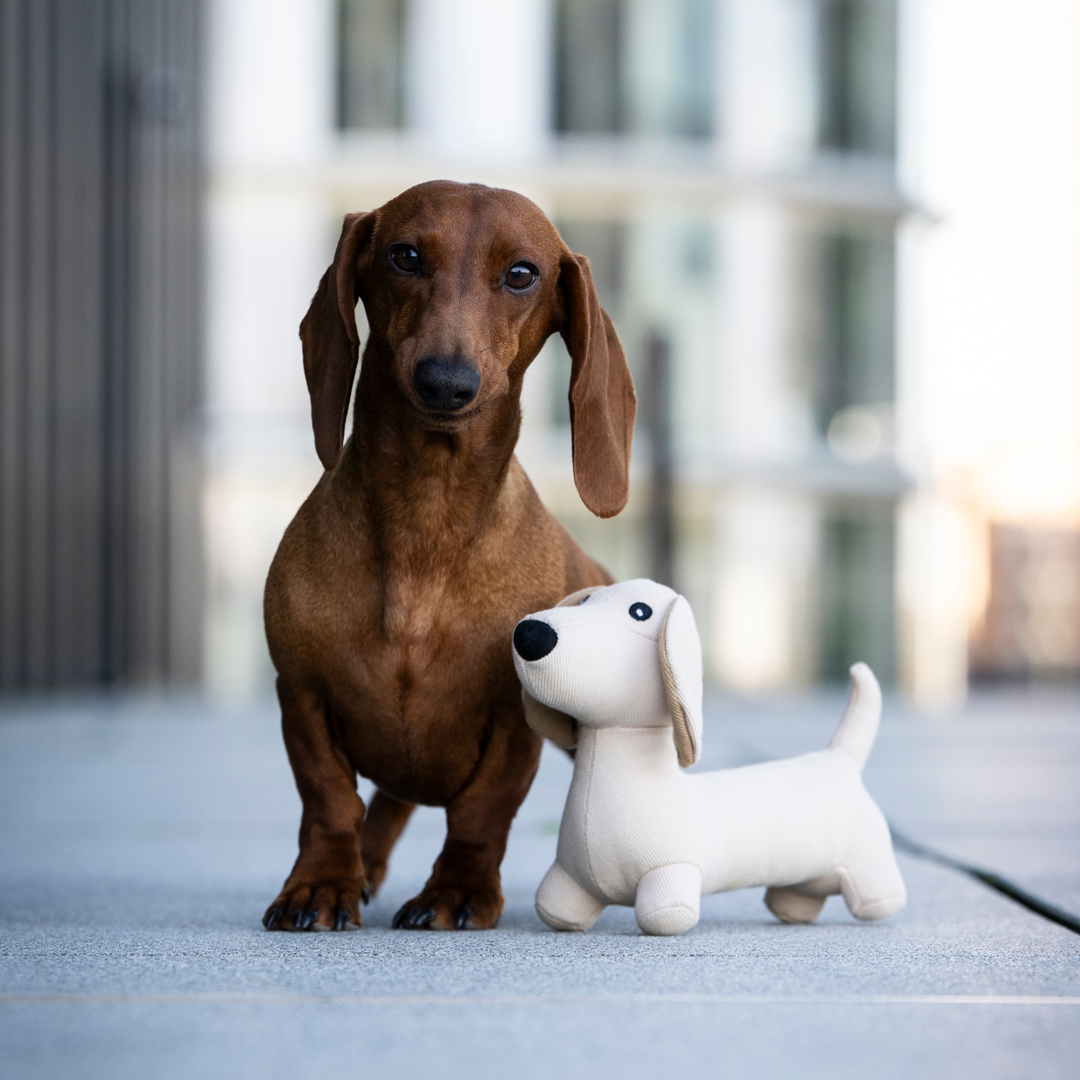 Hundespielzeug „Dackel Pepe“ | 2 Größen | Denim-Style
