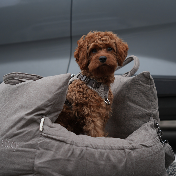 Staey „Lara“ Hund Autositz Taupe | 3-in-1 Hundebett