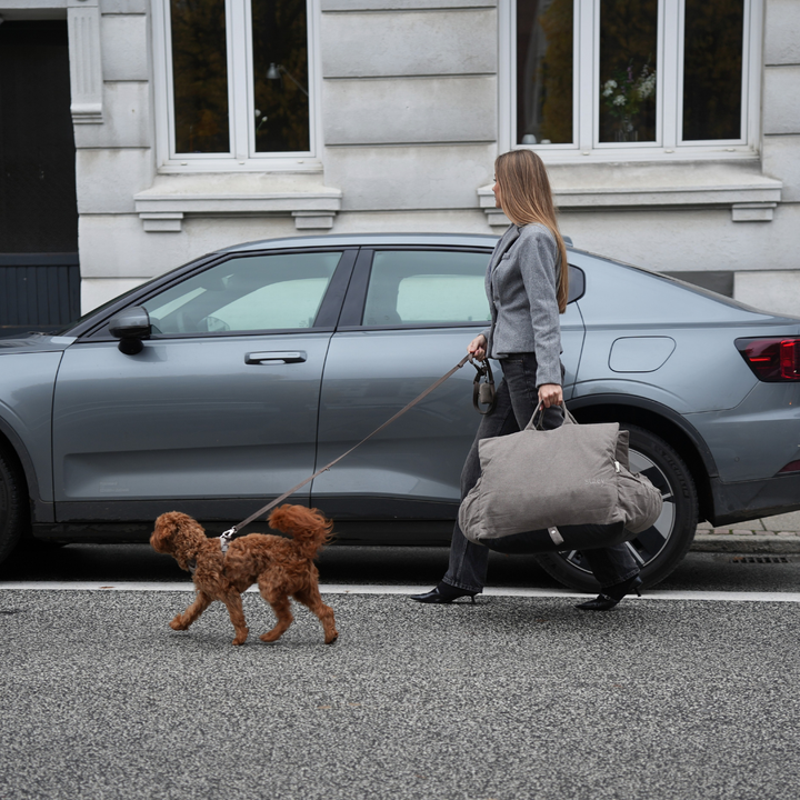 Staey „Lara“ Hund Autositz Taupe | 3-in-1 Hundebett