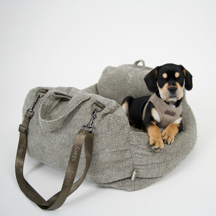 Staey - Tova 2-in-1-Autositz | Hafer-Bouclé