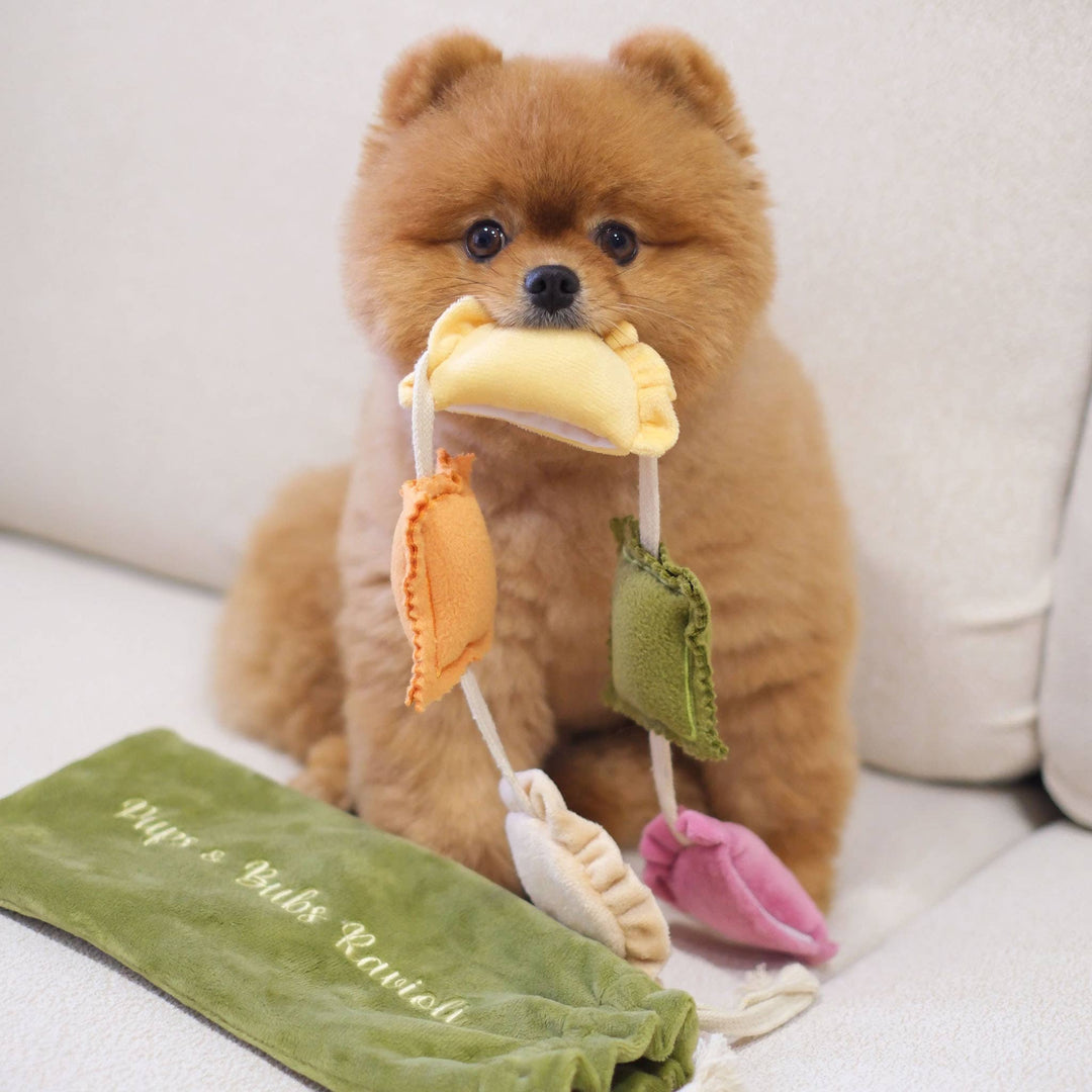 Pups & Bubs - Ravioli-Nasenarbeitsspielzeug mit Quietscher und Raschelgeräusch