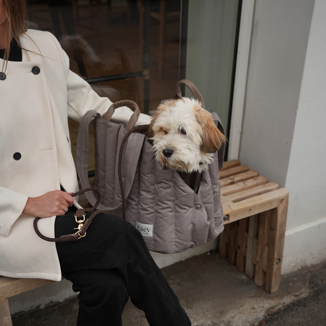 Staey „Elva“ Hundetragetasche | Taupe