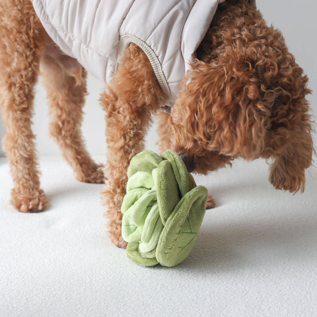 Pups & Bubs - Snuffle Cabbage Nosework-Spielzeug