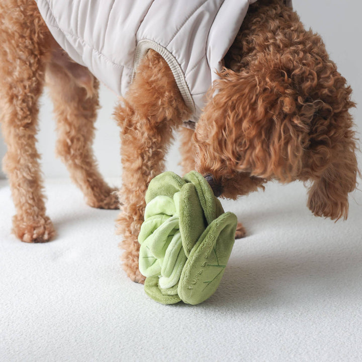 Pups & Bubs - Snuffle Cabbage Nosework-Spielzeug