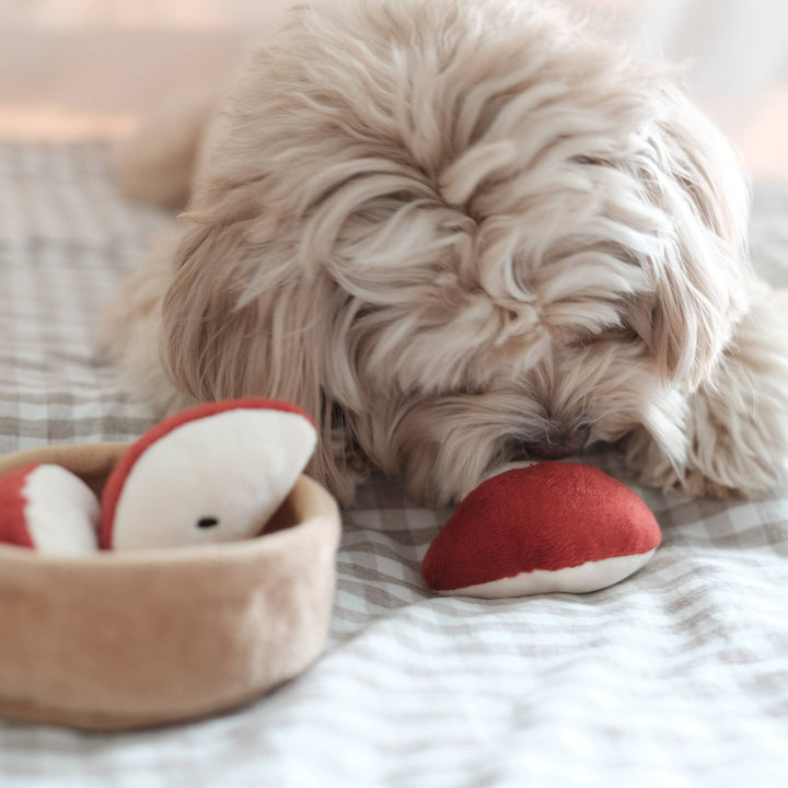 Pups & Bubs - Apfelkuchen-Nasenarbeits-Spielzeug