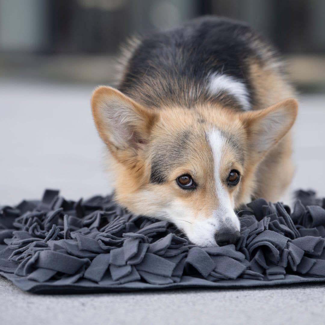 Schnüffelteppich Heaven | 60 × 60 cm