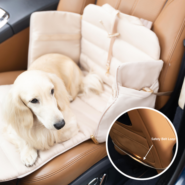 Pups & Bubs - Überall wandelbare Tragetasche für Hunde | 2 Farben