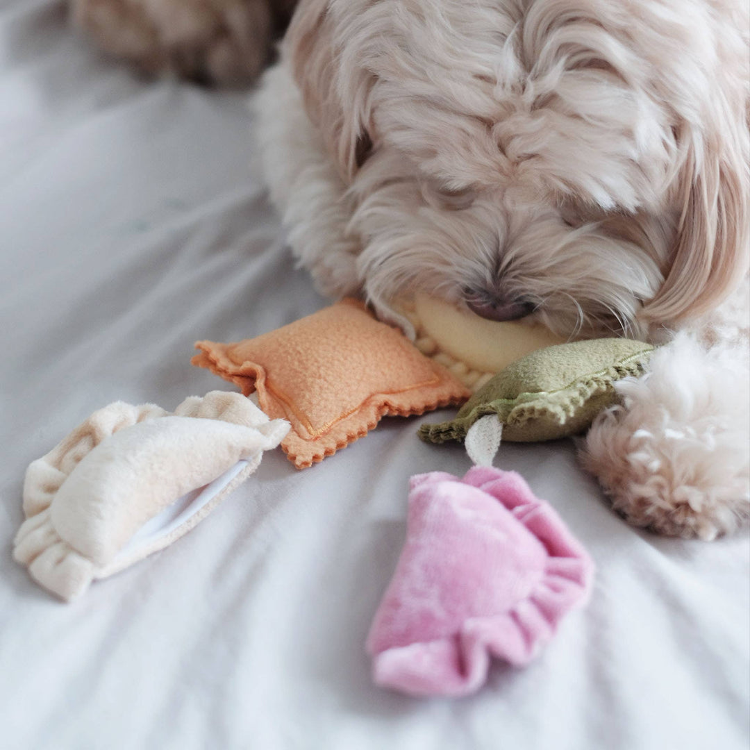 Pups & Bubs - Ravioli-Nasenarbeitsspielzeug mit Quietscher und Raschelgeräusch