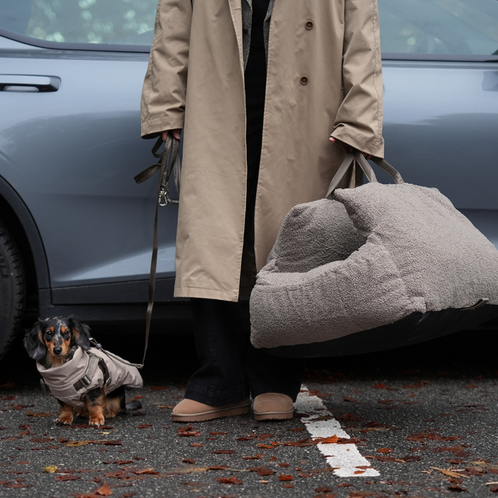 Staey „Lara“ Hund Autositz Teddy | 3-in-1 Hundebett