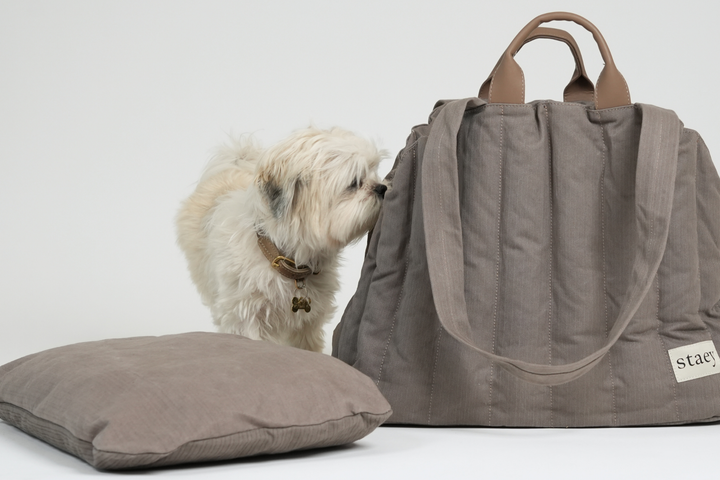 Staey „Elva“ Hundetragetasche | Taupe