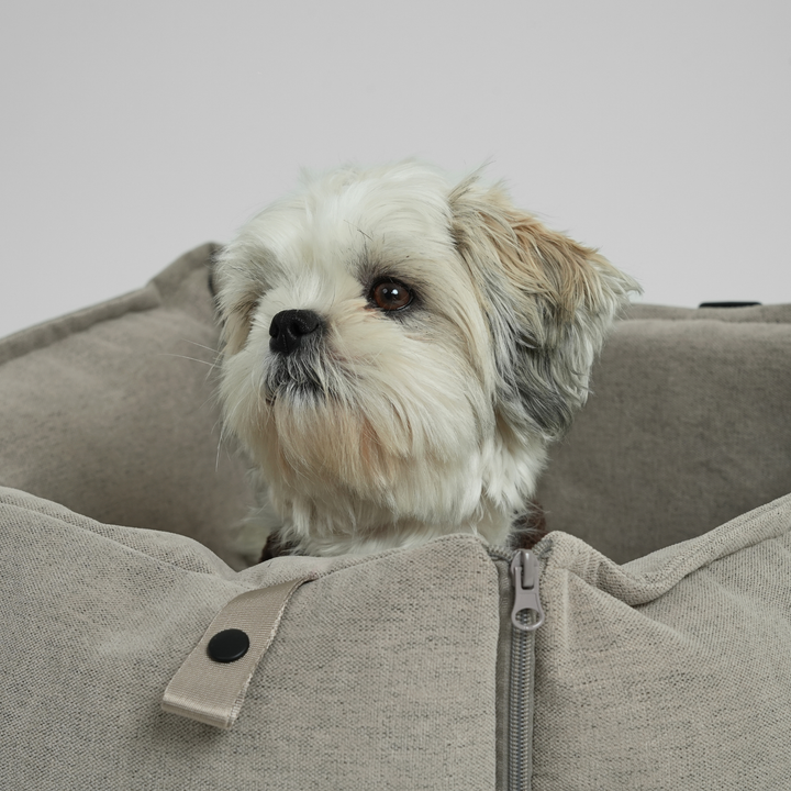 Staey - Fenja 2-in-1 Autositz | Düne