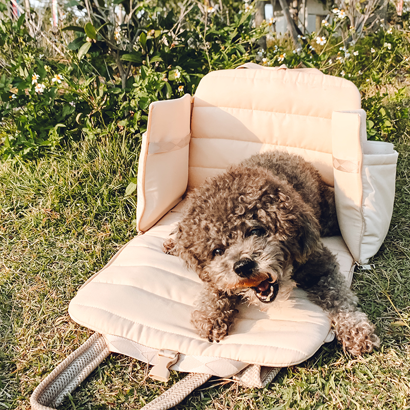 Pups & Bubs - Überall wandelbare Tragetasche für Hunde | 2 Farben