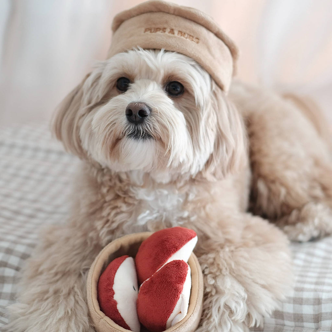 Pups & Bubs - Apfelkuchen-Nasenarbeits-Spielzeug