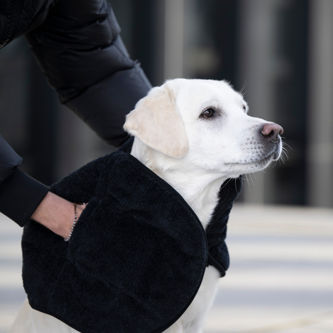 Ultra Dry Comfort Hundehandtuch – Anthrazit | 35×100 cm