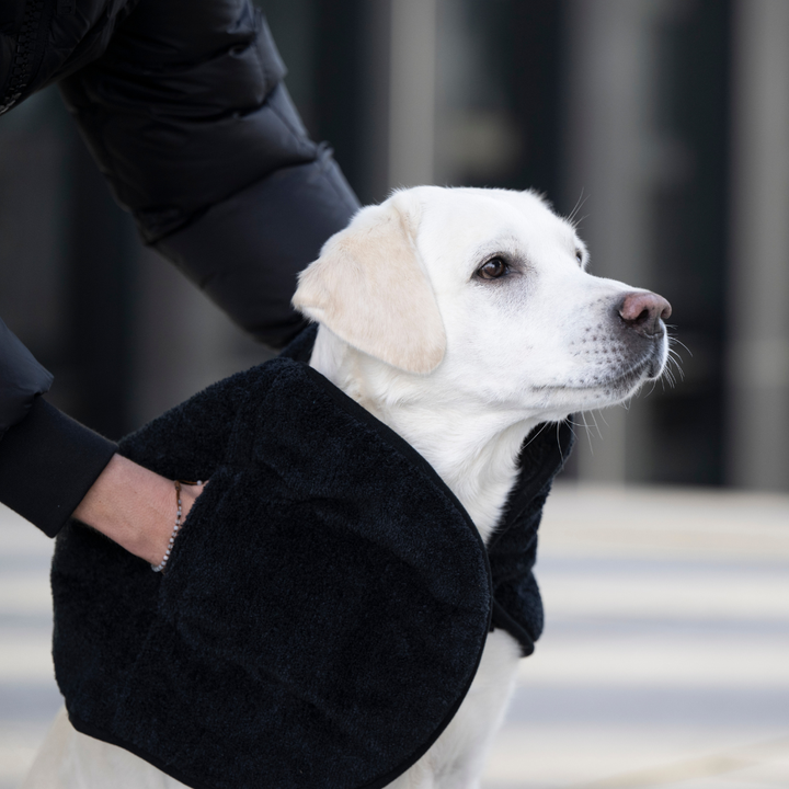 Ultra Dry Comfort Hundehandtuch – Anthrazit | 35×100 cm
