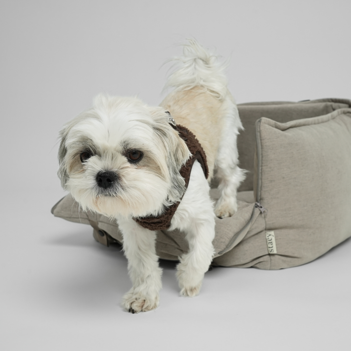 Staey - Fenja 2-in-1 Autositz | Düne