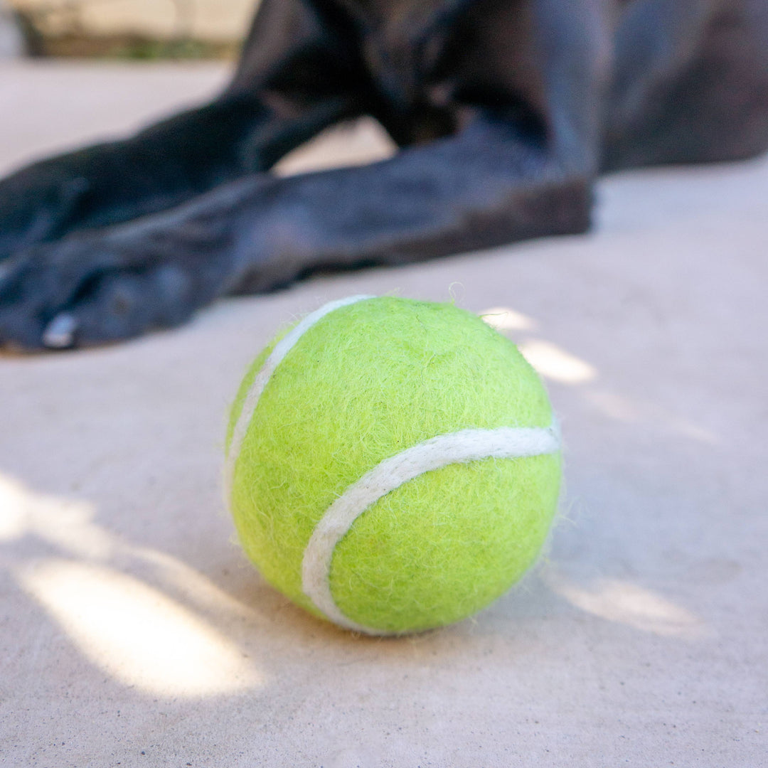 Friendsheep – Tennis-Wollball Spielzeug (2er-Set) – Türkis & Grün