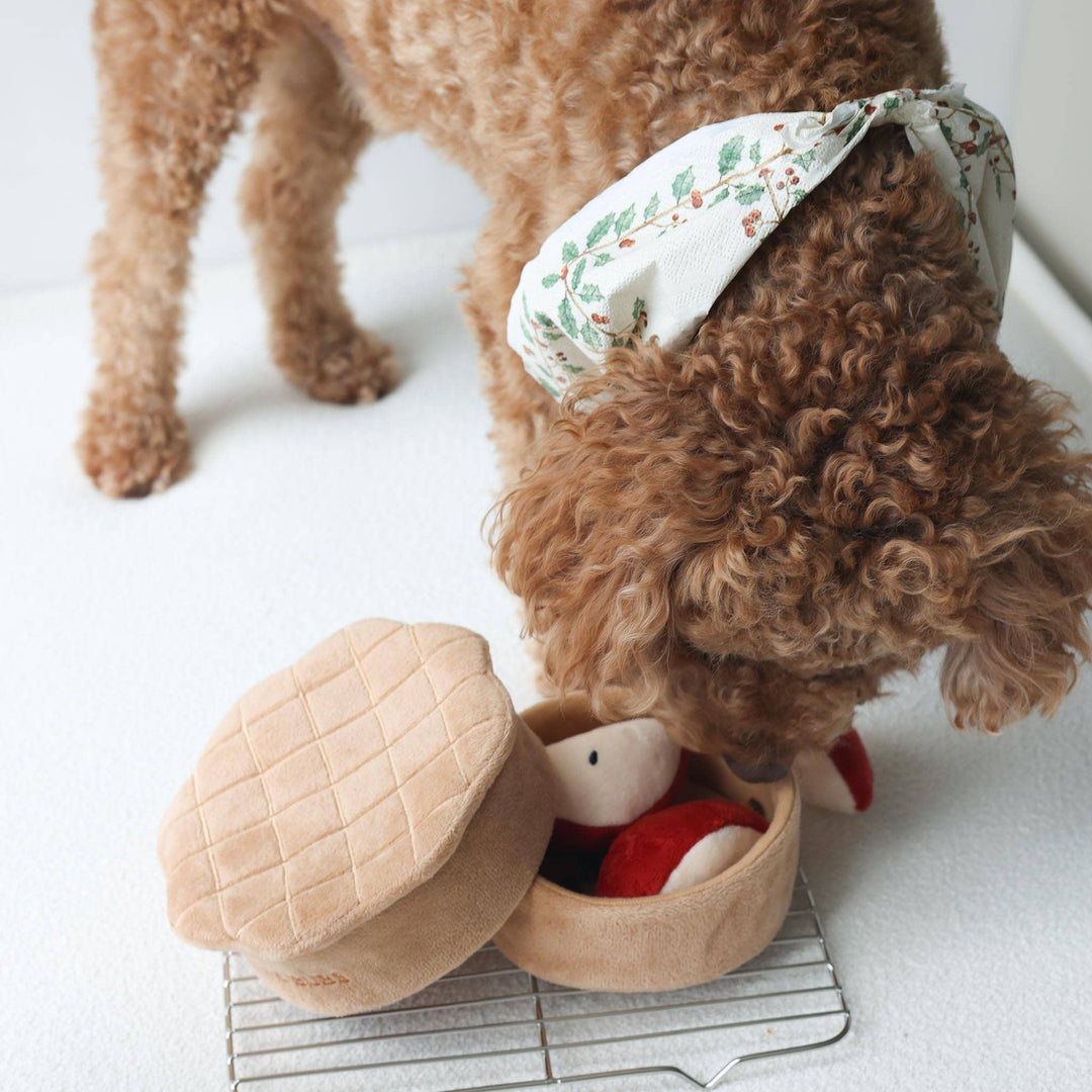 Pups & Bubs - Apfelkuchen-Nasenarbeits-Spielzeug