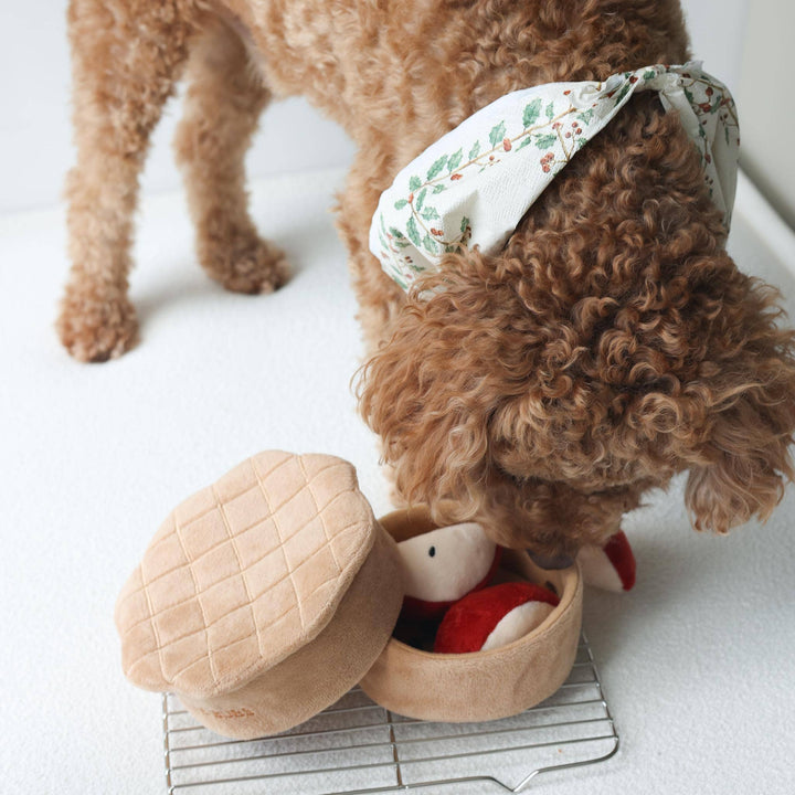 Pups & Bubs - Apfelkuchen-Nasenarbeits-Spielzeug